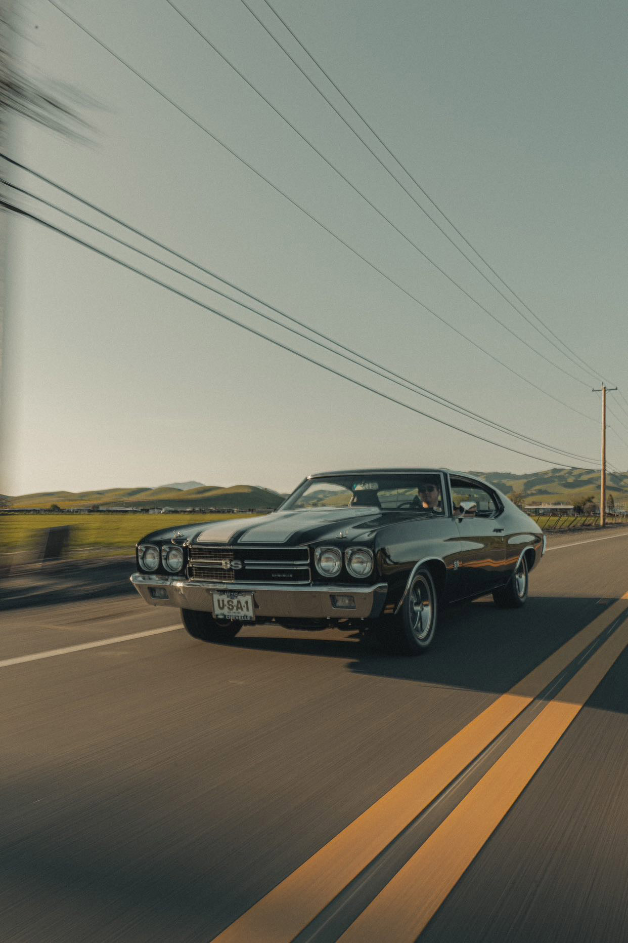 Lemons Headers contact 1